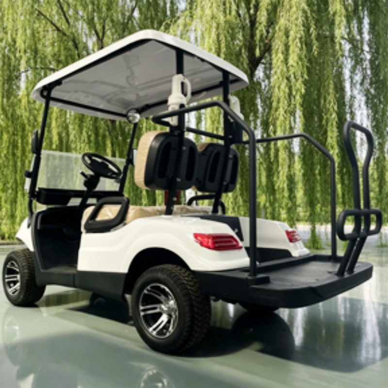 Golf Bag Stand Cart - China Electric Golf Cart Lithium Battery