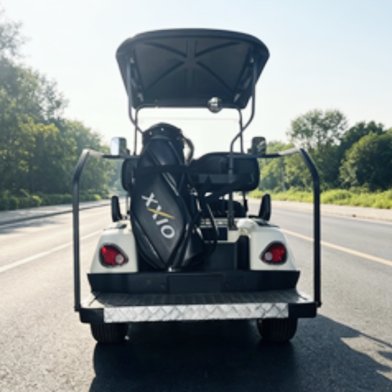 2026 New Launched 2 Seat 72V L - Golf Bag Stand Cart recension och pris