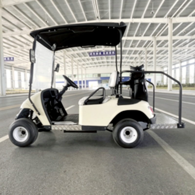 2026 New Launched 2 Seat 72V L - Golf Bag Stand Cart recension och pris