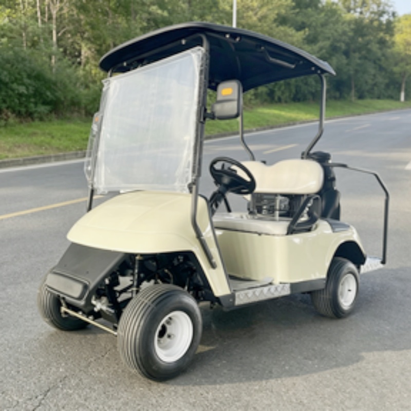 2026 New Launched 2 Seat 72V L - Golf Bag Stand Cart recension och pris