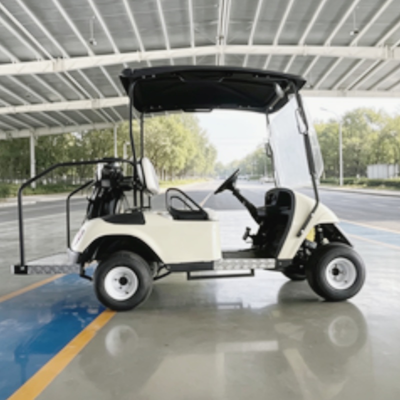 2026 New Launched 2 Seat 72V L - Golf Bag Stand Cart recension och pris
