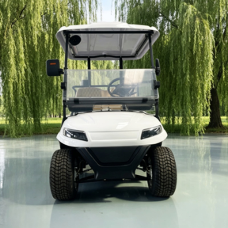 China Electric Golf Cart Lithi - Golf Bag Stand Cart recension och pris