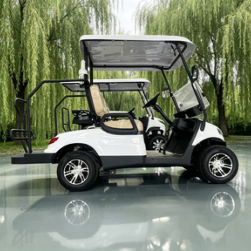China Electric Golf Cart Lithi - Golf Bag Stand Cart recension och pris