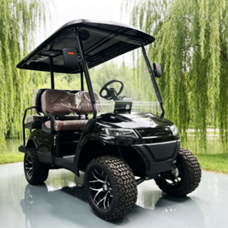 Lithium Battery Club 2 Seater  - Golf Bag Stand Cart recension och pris
